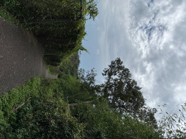 后里觀音山 鳳凰山2816247