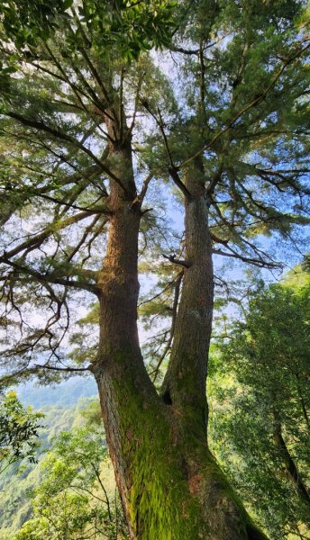 郡大山，郡大山北峰，望鄉山，白冷山，頭嵙山，黑山北峰，大坑4號，大坑3號，挑水古道，快官健行步道2299310