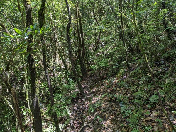 逐鹿山水路上卡保山(未經逐鹿山)2171985