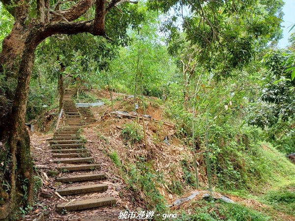 【台中北屯】走步道洗塵心。 No42小百岳南觀音山x青春嶺2196464