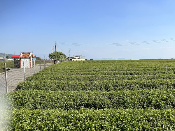 清水岩中央嶺造林步道2957426