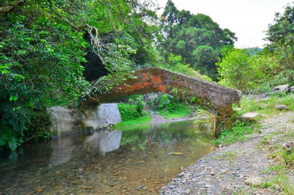 再訪坪溪古道1066204