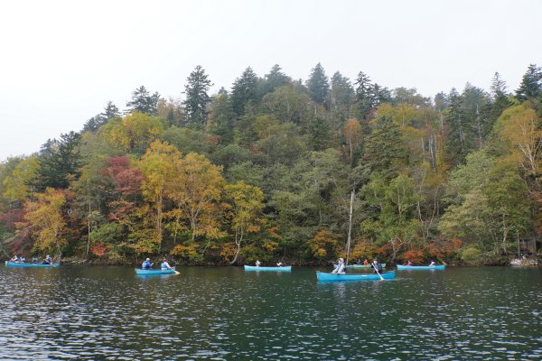 日本 北海道2908541