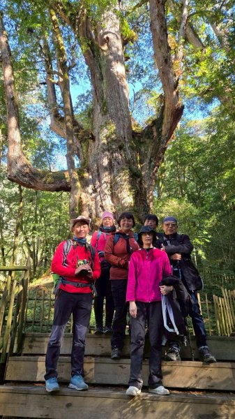 20260104司馬庫斯 &巨木群攀登2978861