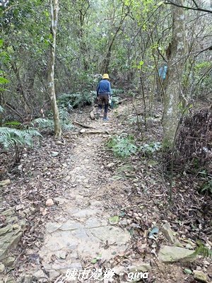 【屏東瑪家】小百岳笠頂山步道3013105
