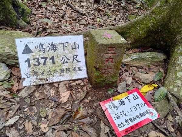 鳴海山、龍頭山步道2157072