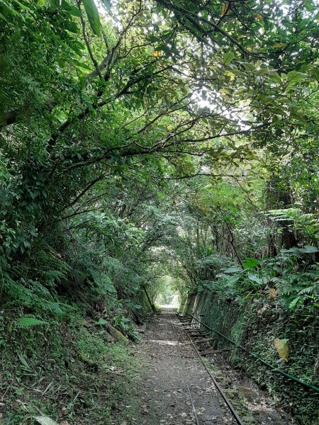 小百岳寶石〡No.10 五分山968811