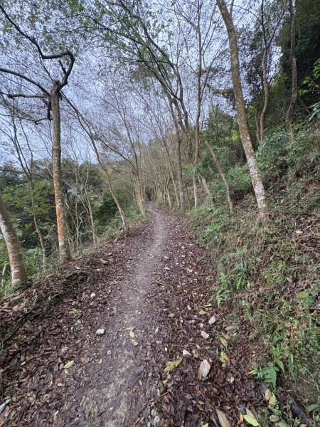 20251227尾寮山登山步道2970502