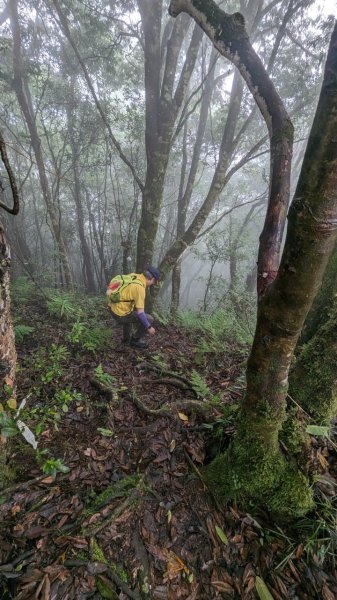 113.06.01魯壁山-東穗山之旅2529888