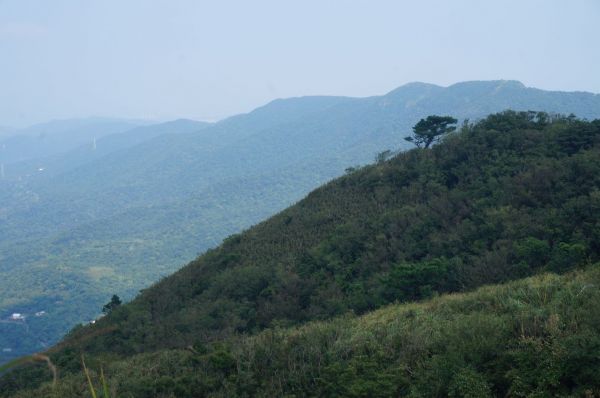 頂山線(風櫃嘴.頂山.石梯嶺.竹篙.擎天208335