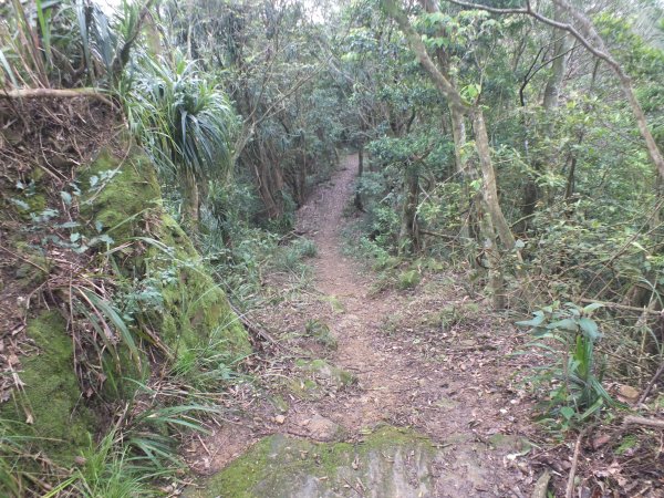 百二階古道+苕谷瀑布+逸仙山+泰和樓2734465