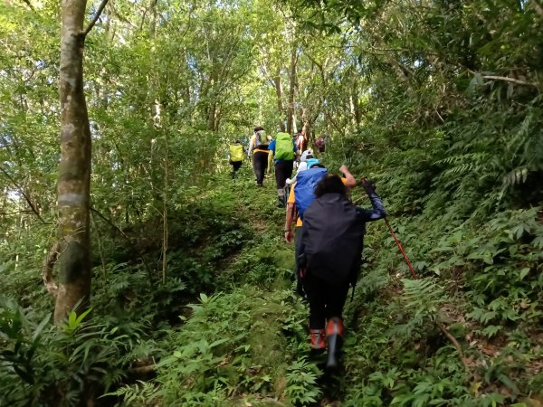 雙溪區大湖尾古道+灣潭古道O型2874799