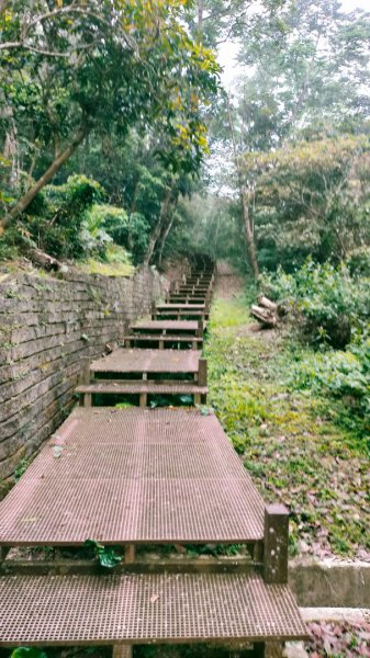 石硦林場、桶頭山O形3052335