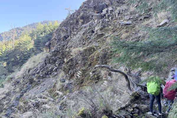 230林道糜爛去    2025.2.28-3.12733772