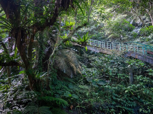 鳳凰谷鳥園2961148
