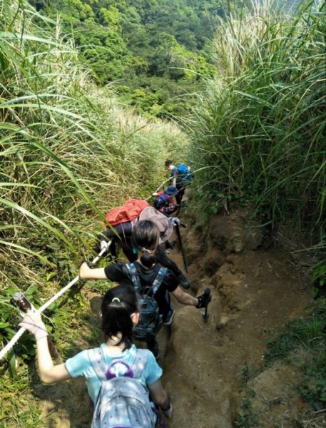 陽明山大縱走西段1758620