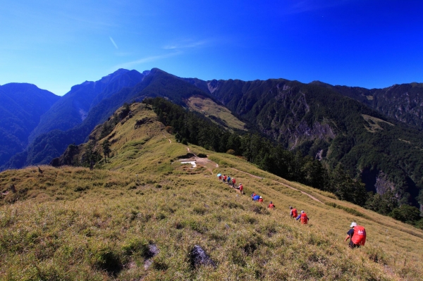 雪山下翠池賞巒大花楸23254