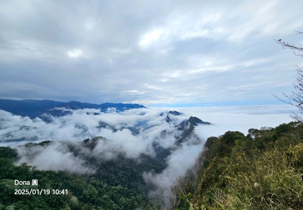 小百岳馬那邦山(H1407m)加碼採草莓2694674
