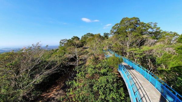 《苗栗》山谷間古道｜九華山天空步道202112191554991