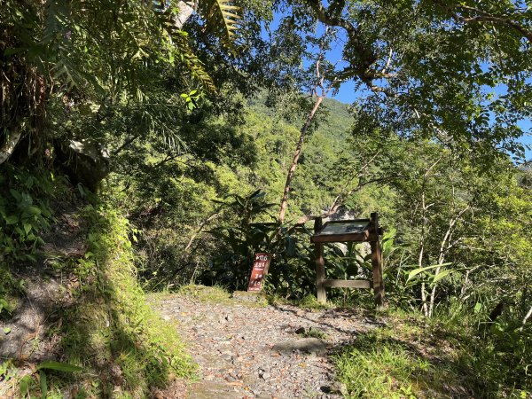 [玉山尋寶任務-03/12] 2025_0810 瓦拉米步道2857487