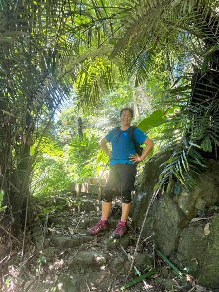 阿里山達娜伊谷、里美避難步道、巨石板步道2909914
