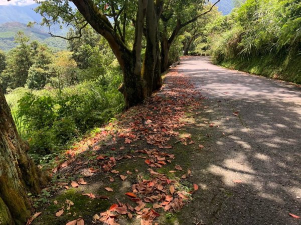 貓囒山步道