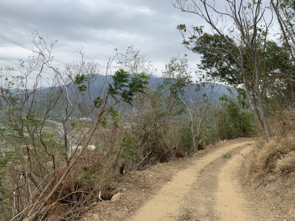20250405屏東頂楓港山-上楓港山2757486