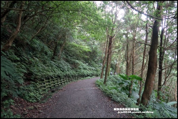 宜蘭礁溪。抹茶山聖母登山步道｜走到軟腿的1189187