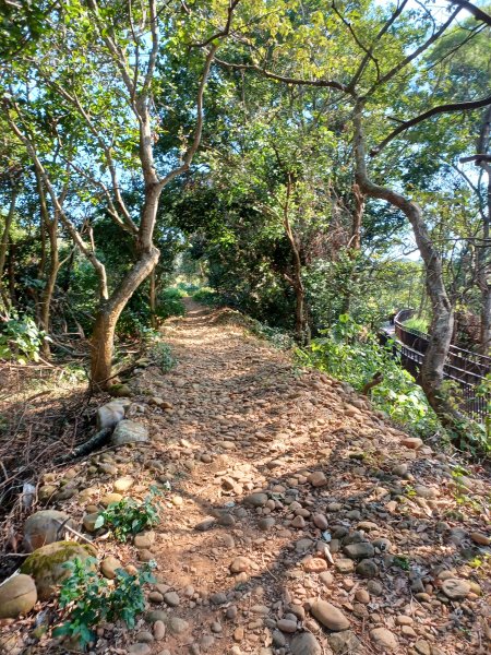 【彰化員林】視野豐富的郊山步道。 大峰巷步道x十八觀音步道x挑水古道x碧山古道O繞2771893