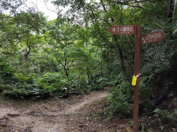 微笑山線：【天上山系】望月亭桐花段3001593