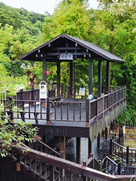 2025臺北大縱走第七段：世界山莊至飛龍步道政大後山2924003