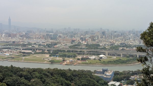 劍潭山親山步道2676468