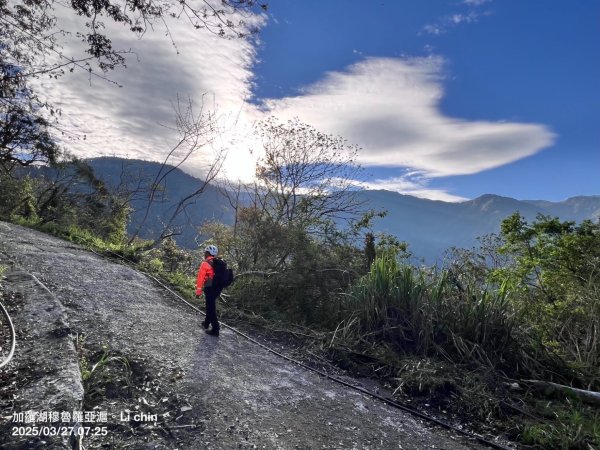 大同加羅湖穆魯洛亞滬庫霞四季警備道2748283