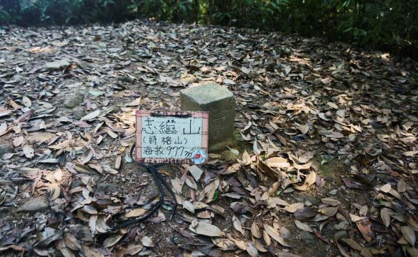 志繼山、東眼山O型1335797