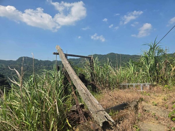 20260927鷺鷥潭山群峰3126866