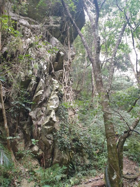 麗陽上屋我尾山2683113