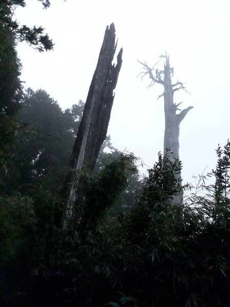 大雪山木馬道鞍馬山O型20190921685165