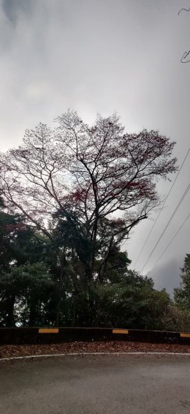 中級山-鳶嘴稍來2889073