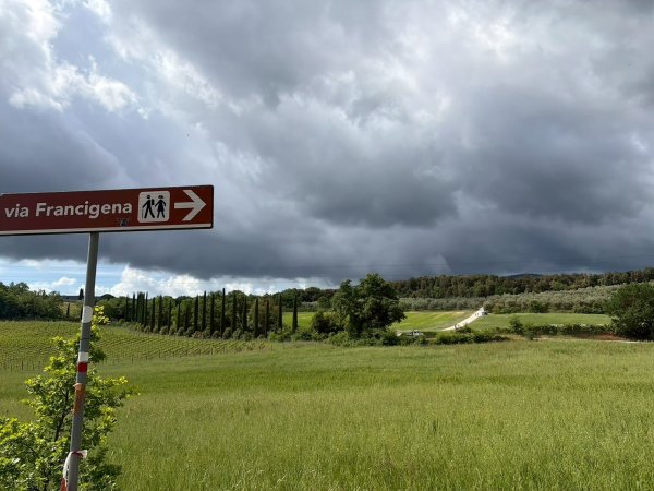 Via Francigena D3: monteriggioni-siena3072806