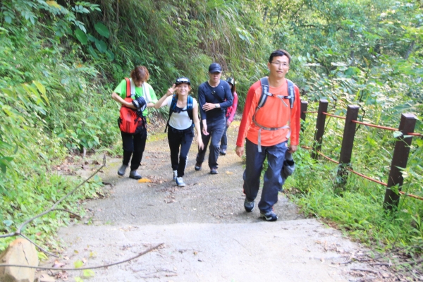 霧峰奧山賞桐花38620