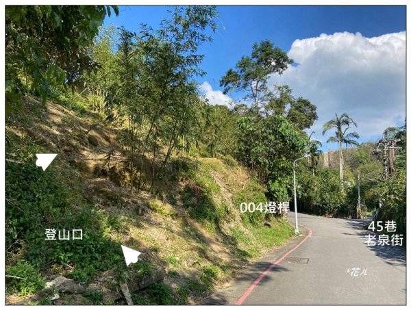 炮子林山、樟山、恆光橋崙 (政大三小山)2715793