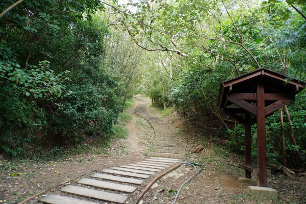 新竹 新埔 犁頭山、吧哩國山、石頭坑山2936753