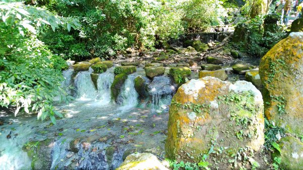 陽明山花鐘大屯瀑布青春嶺猴崁圳537462