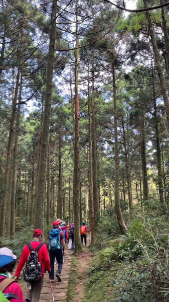 臺北大縱走第三段_登七星而小台北2910363