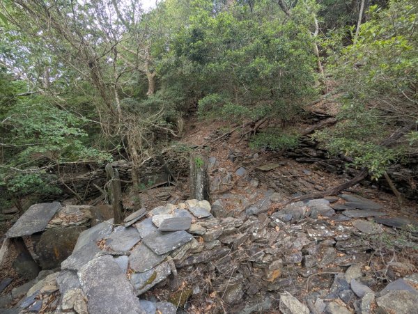 白鷺部落至大武藏山與舊古樓社2782351