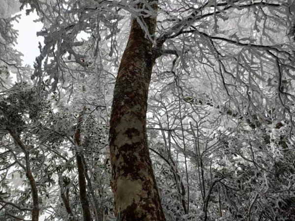 雪季北得拉曼2956391