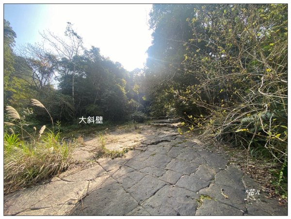 加里山前山隘勇線、騰龍山、橫龍山 連走3027658