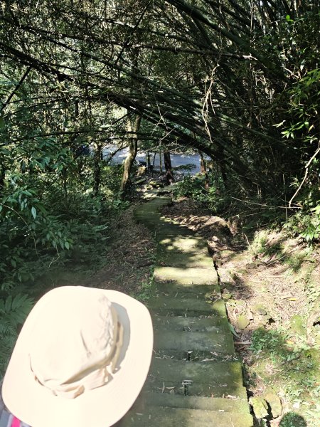 2026-0221造鎮-太極嶺-桐花公園-承天禪寺-永寧站3005807