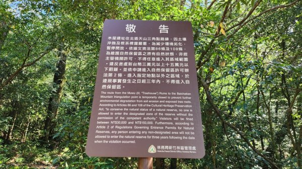 【中級山】插天山的奇幻世界，赫威山，赫威神木群步道2741326