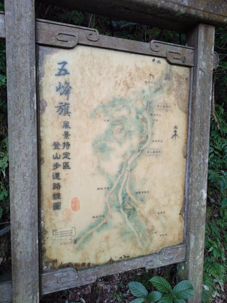 朝聖抹茶山2949473